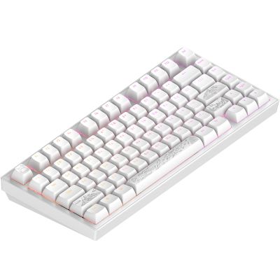 Клавиатура Dark Project ALU81 Terra Nostra PBT RGB Mech G3MS Moonstone White (DPKB_NOSTRA_81_ANSI_WHITE_UA) | Зображення 7
