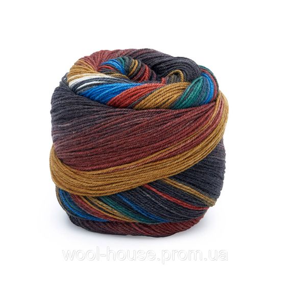 Шкарпеткова пряжа Laines du Nord Infinity Sock, 16 | Зображення 1