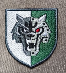 Шеврон UASOF сили спеціальних операцій ЗСУ (ССО)