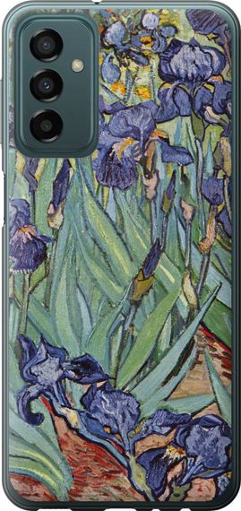 Чехол на Samsung Galaxy M23 M236B Винсент Ван Гог. Ирисы "161u-2632-17620"