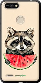 Чохол на Tecno Pop 2F B1F Єнотик з кавуном "4605b-2391-2448"