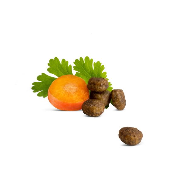 Happy Cat Junior Land Geflugel сухой корм для котят с мясом птицы, 4 кг | Зображення 1