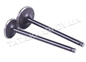 Клапани (пара, голі) 4T CB125/150 ZV