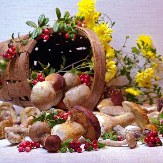 Активатор росту міцелію 40 г (Насіння країни) | Зображення 1