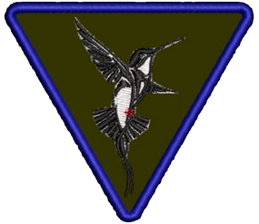 Шеврон Колібрі