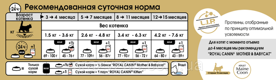 Сухой корм для котят Royal Canin Maine Coon Kitten 2 кг 2558020 | Зображення 1