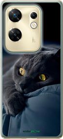 Чохол на Infinix Zero 30 4G Димчастий кіт "825u-3413-2448"