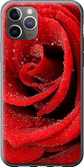 Чехол на iPhone 11 Pro Max Красная роза "529u-1723-17620"