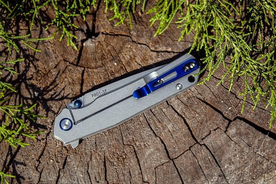 Ніж складний Ruike P801-SF | Зображення 6
