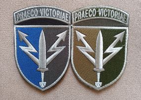 Шеврон ССО UASOF (силы специальных операций) ЗСУ 2шт (цветной+зеленый)