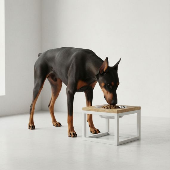 Миска на подставке для больших собак Hollky Base Solo XL (1 × 1,8 л) Solo XL-262620-WHNT | Зображення 7