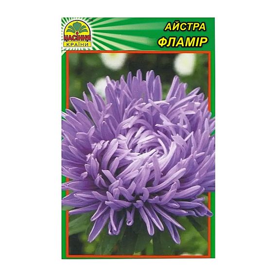Насіння Айстра Фламір 0,3 г (Насіння країни)