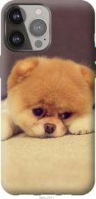 Чохол для Apple iPhone 13 Pro Max з пластику FCh_037149