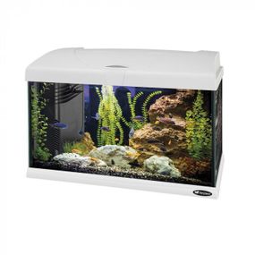 Акваріум Ferplast CAPRI 50 LED WHITE 52 x 27 x h 36 cm - 40 L