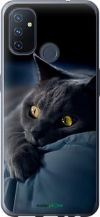 Чохол на OnePlus Nord N100 Димчастий кіт "825u-2130-2448"