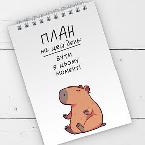 Блокнот на пружине А6 План на цей день 9,5х14 см (BL6_19D066)