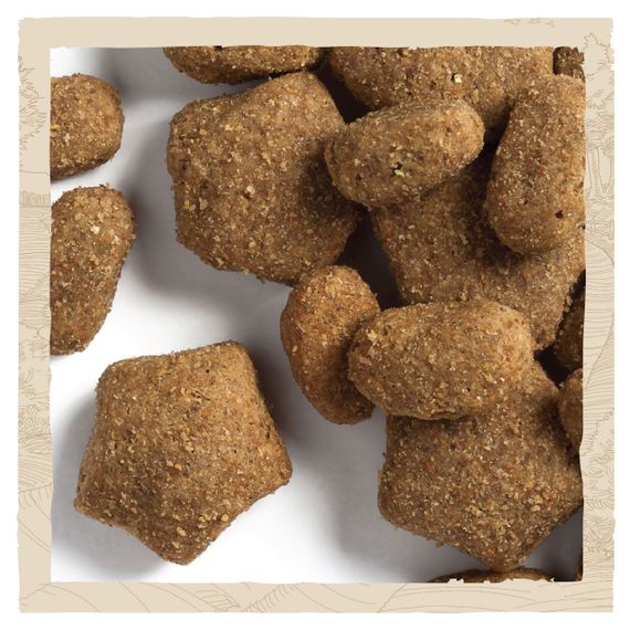 Сухий корм для собак з лососем Dog Chow Sensitive 14 кг | Зображення 4