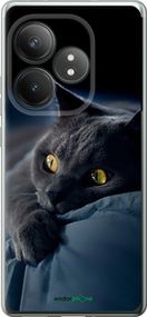 Чохол на Realme GT Neo6 Димчастий кіт "825u-3858-2448"