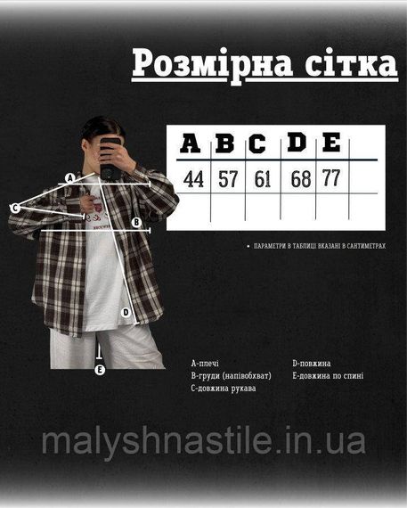 Women's checkered shirt brown/white DL7310 | Зображення 7