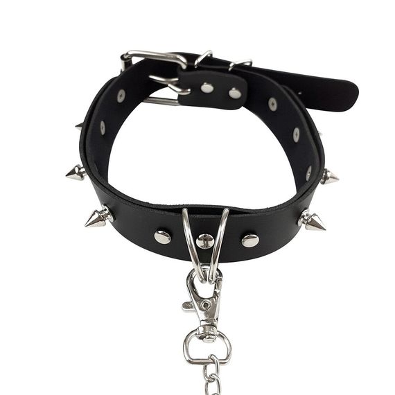 Нашийник з шипами та повідцем Art of Sex - Collar Spikes and Leash | Зображення 5
