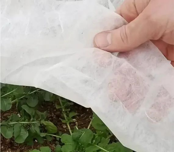 Полотно 5 м 60 г/м2 щільності під парник, біле агроволокно прошите для парника | Зображення 9