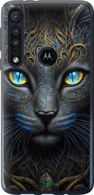 Чохол на Motorola One Macro Кішка "5548u-1812-2448"