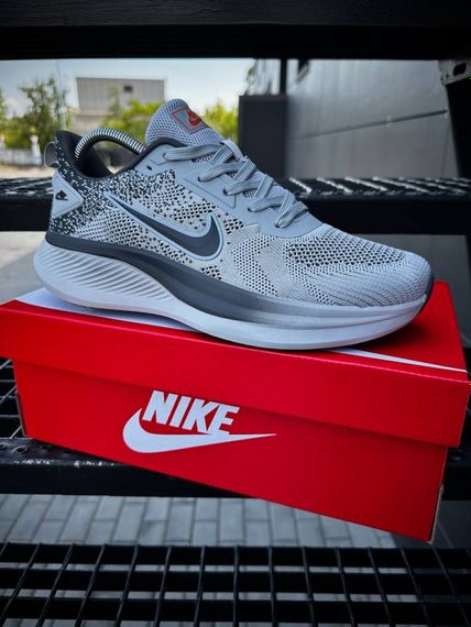 Кросівки Nike Running Quest 6 T (світло сірі) | Зображення 1