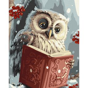 Картина по номерам "Умная совушка" KHO6557, 40х50 см