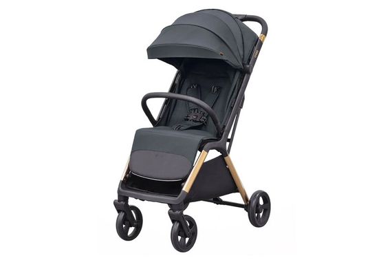 Коляска прогулянкова CRL-5523 "Cross" Eagle Grey CARRELLO | Зображення 1
