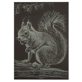 Гравюра А5 "Белочка" ГрА5з-13 эконом вариант в пакете 21 х 14,8 см