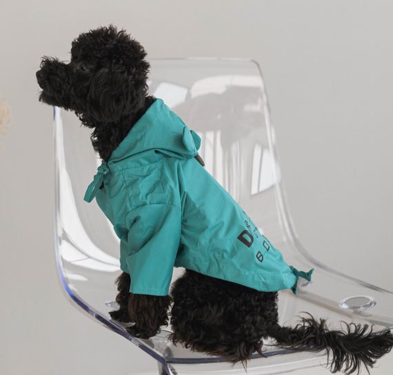 Дощовик парка DB бірюзовий M-72