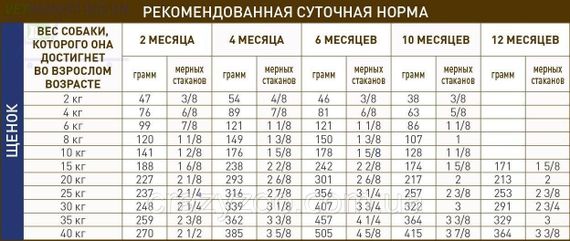 Сухой корм для щенков Royal Canin GastroIntestinal Puppy 2.5 кг 39570251 | Зображення 1