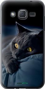 Чохол на Samsung Galaxy J2 J200H Димчастий кіт "825u-190-2448"
