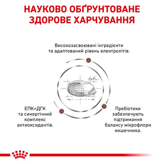 Сухий корм Royal Canin Gastro Intestinal для собак при порушенні травлення 15 кг | Зображення 5