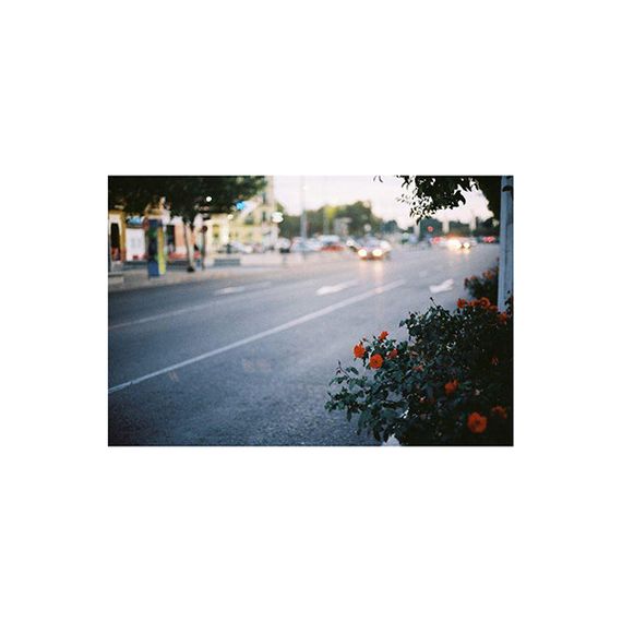 Фотоплівка кольорова KODAK Pro Image 100 135-36 х 1 | Зображення 8