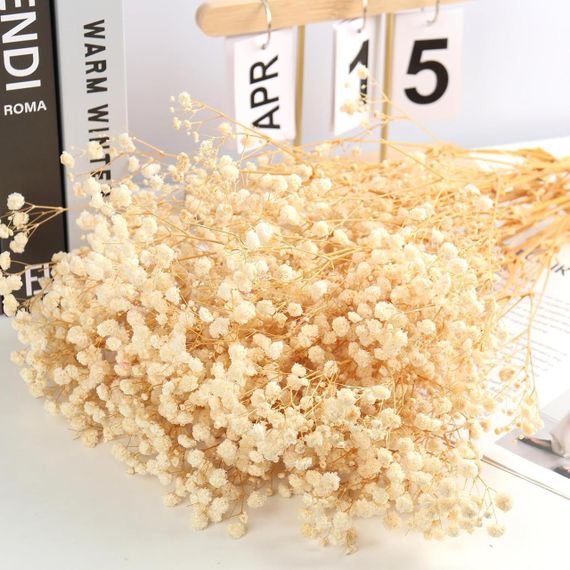 Букет із сухоцвітів гіпсоф Mehwag Baby's Breath, 100% натуральний, 17,2 дюйма, 3000+, кольору слонової | Зображення 2