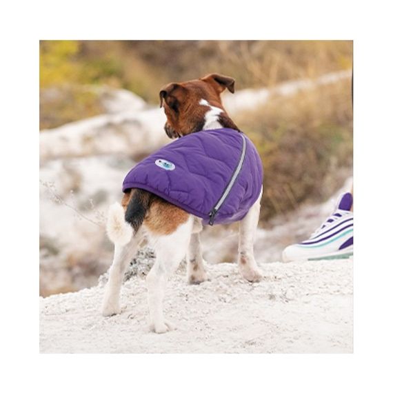 Жилет Pet Fashion E.Vest для собак фіолетовий SМ | Зображення 4
