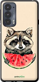 Чохол на Motorola Edge 20 Єнотик з кавуном "4605b-2497-2448"