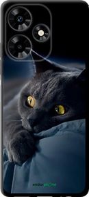 Чохол на Infinix Hot 30 Димчастий кіт "825b-3046-2448"