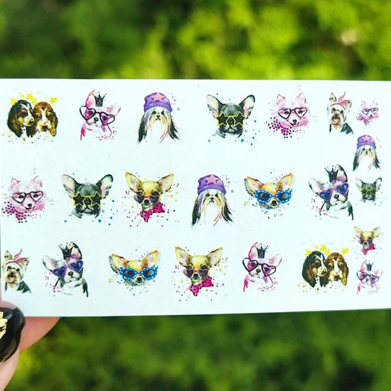 Слайдер D-07 на водяній основі (5x8см)