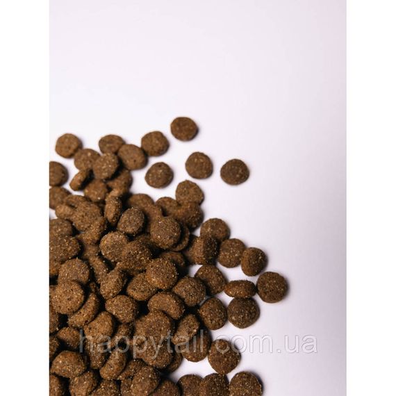 Корм Savory Junior Large для молодих собак великих порід, індичка та курка, холістик, 3 кг | Зображення 4