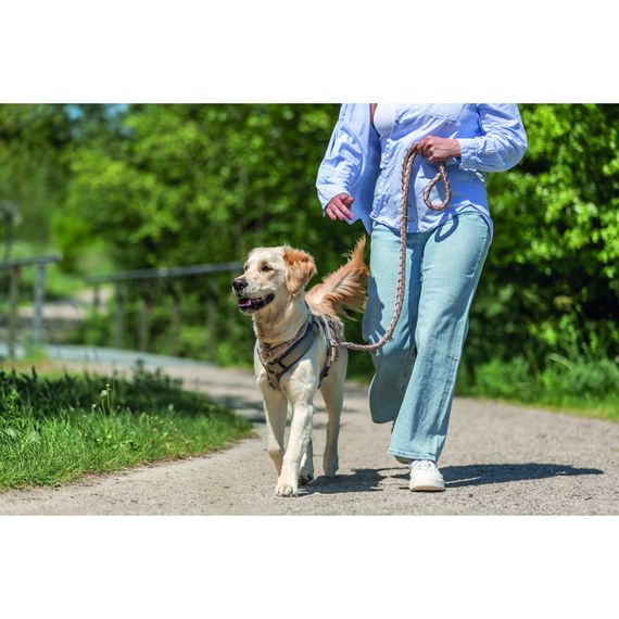 Нашийник Trixie Cavo для собак напівудавка S 30–36 см діаметр 12 мм рожево-пісочний | Зображення 2