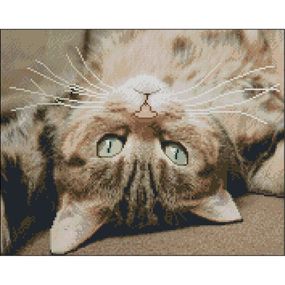 Алмазная мозаика без подрамника "Игривое счастье" ZAV4050-37, 40х50 см