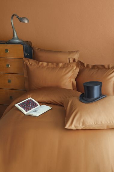 Комплект постільної білизни Issimo Simply Satin 200х220 см Terra Cotta