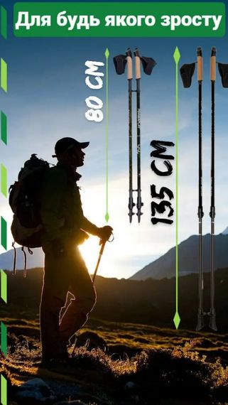 Палиці для скандинавської ходьби PowerPlay 9108 Sisu Black/Gold 80-135 см (пара) + 2-ві пари чобітків + чохол (PP_9108_Sisu) | Зображення 1