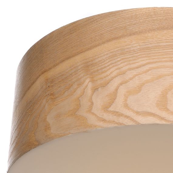 Люстра светодиодная потолочная 22W WW OAK (BL-508C/1) | Зображення 2
