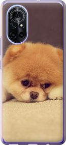 Чехол на Huawei Nova 8 Boo 2 "890u-2245-17620"