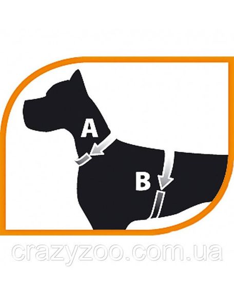 Шлея для собак Ferplast Nikita Fashion P M камуфляж голубой A: 30-43 см B: 38-55 см 1.5 см 75468932 | Зображення 2