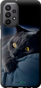 Чохол на Samsung Galaxy A23 A235F Димчастий кіт "825b-2587-2448"