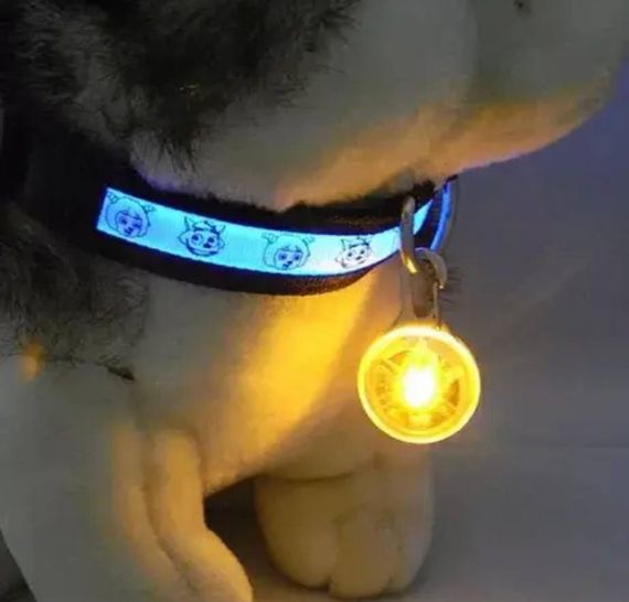 Светящийся LED брелок, на карабине, для собак, на ошейник, с батарейкой | Зображення 1